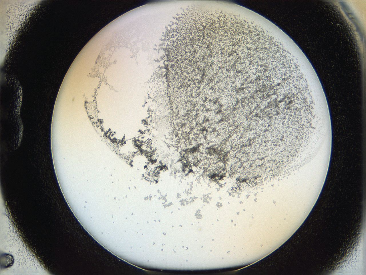 06hf_B5_ImagerDefaults_3.jpg