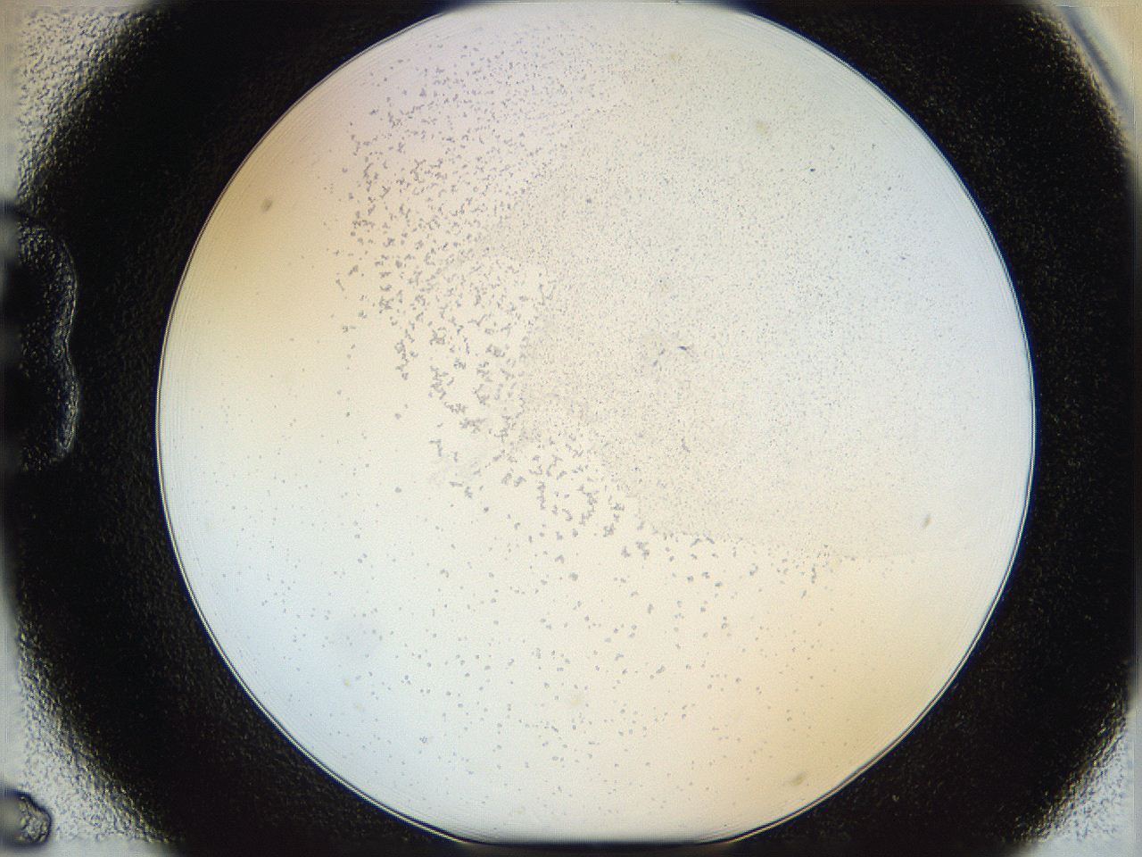 06hf_B6_ImagerDefaults_5.jpg
