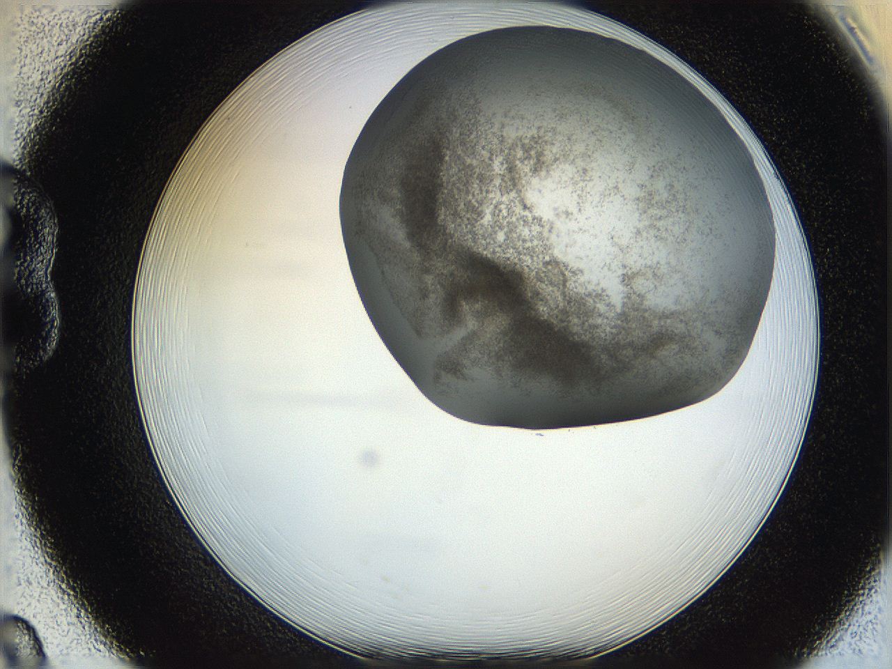 06hf_B8_ImagerDefaults_5.jpg