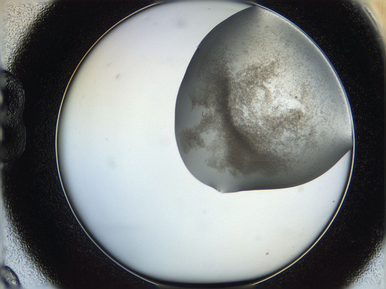 06hf_B9_ImagerDefaults_3.jpg