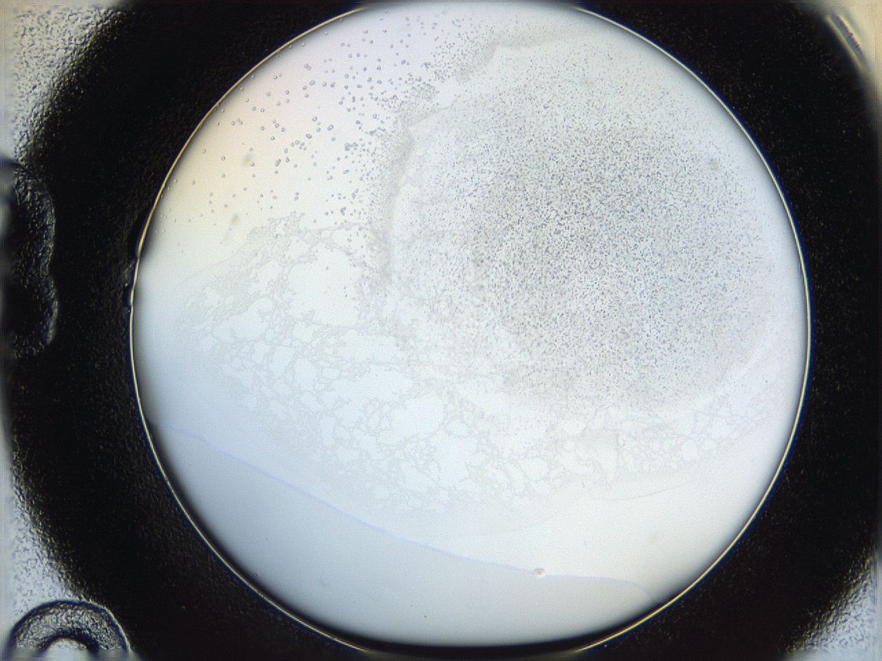 06hf_B10_ImagerDefaults_5.jpg