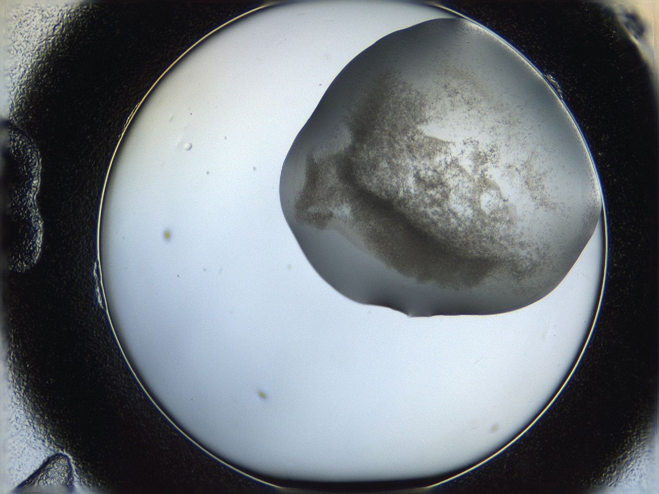 06hf_B11_ImagerDefaults_3.jpg