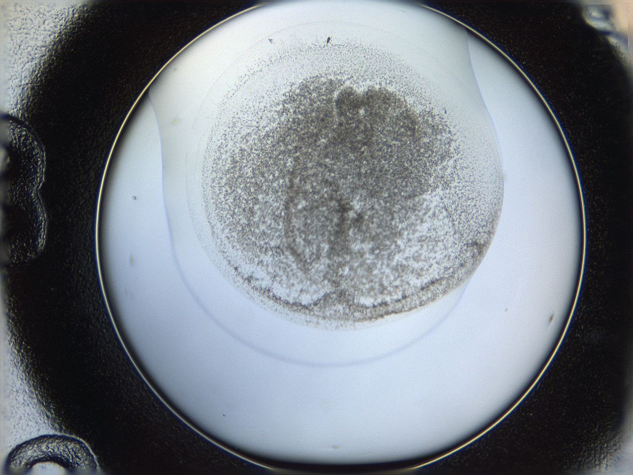 06hf_B12_ImagerDefaults_3.jpg