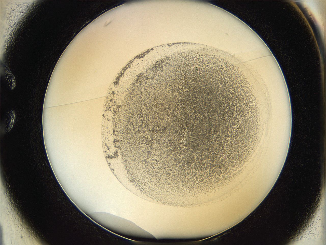 06hf_C1_ImagerDefaults_3.jpg