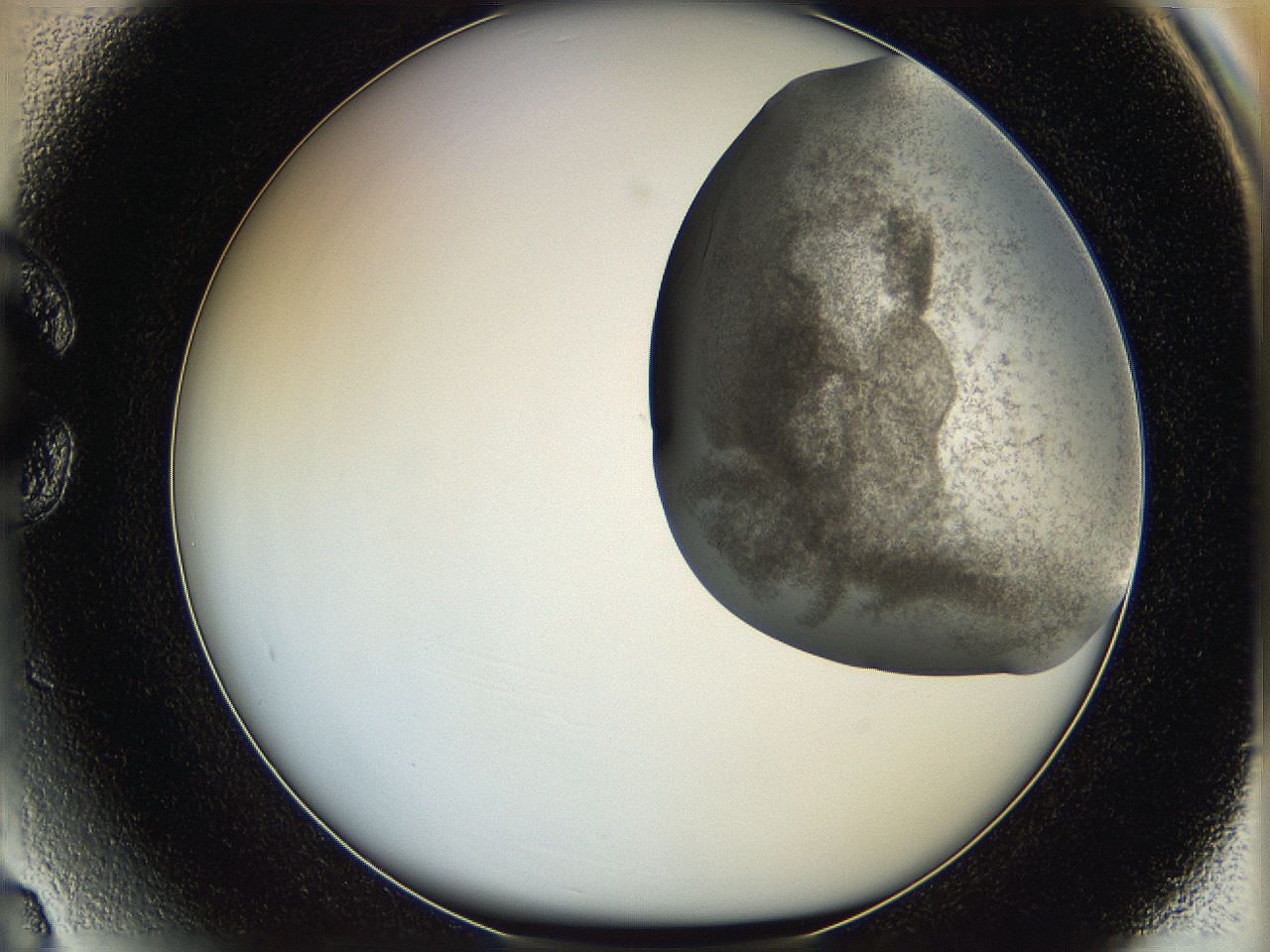 06hf_C3_ImagerDefaults_3.jpg