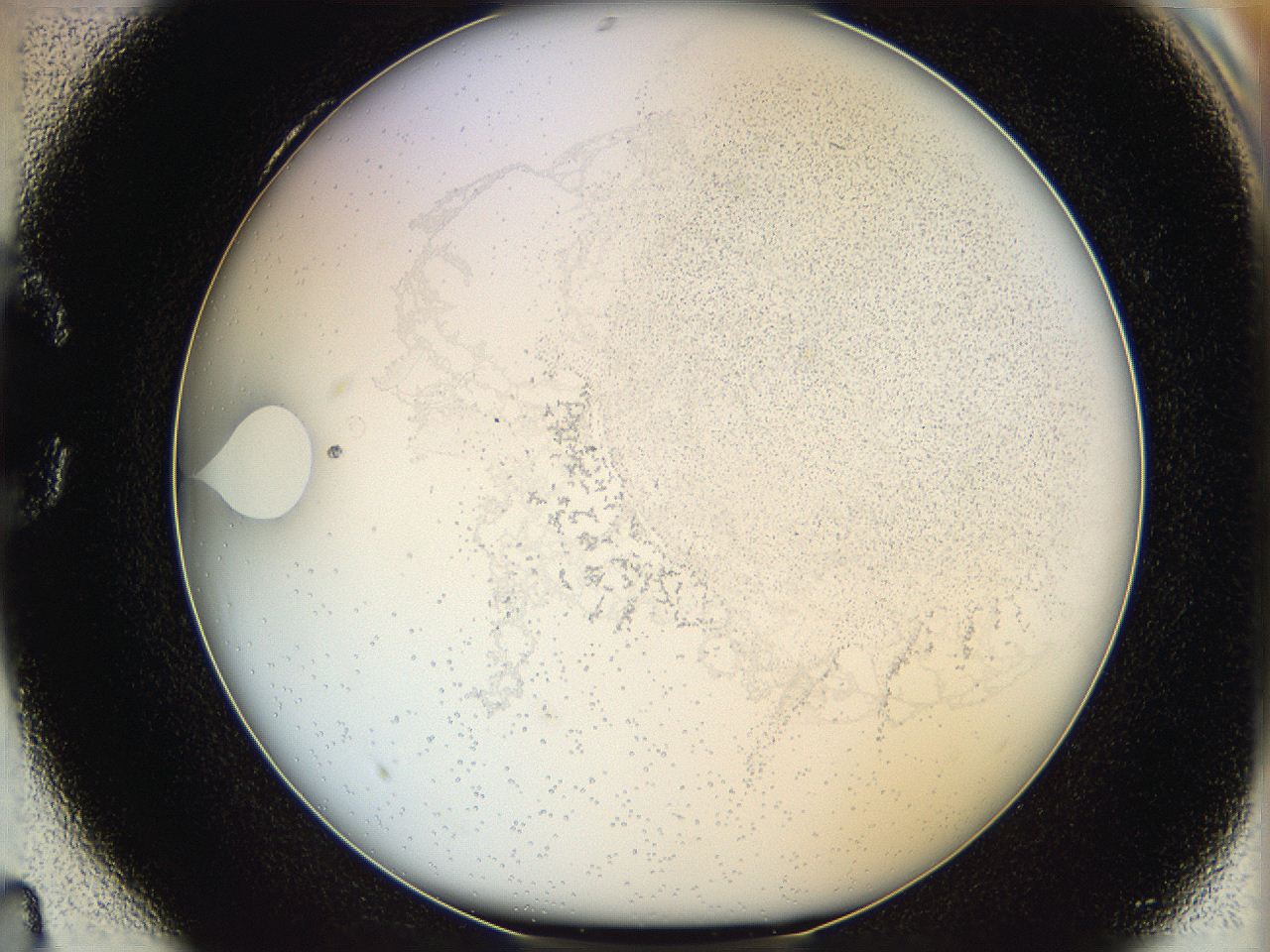 06hf_C4_ImagerDefaults_5.jpg