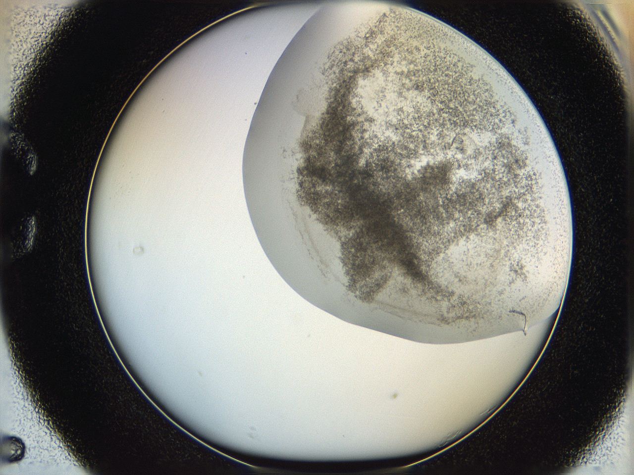 06hf_C5_ImagerDefaults_3.jpg