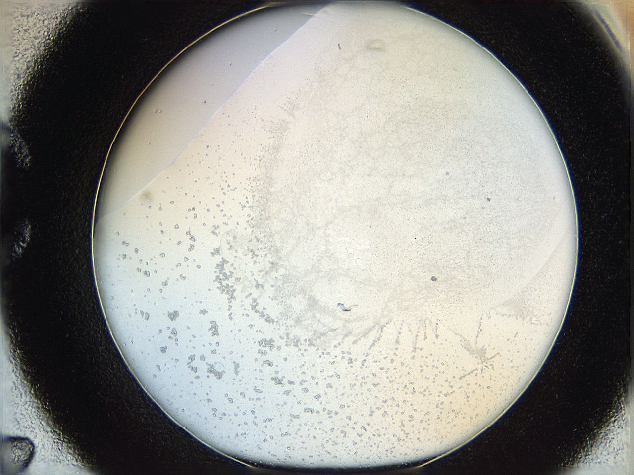 06hf_C7_ImagerDefaults_5.jpg
