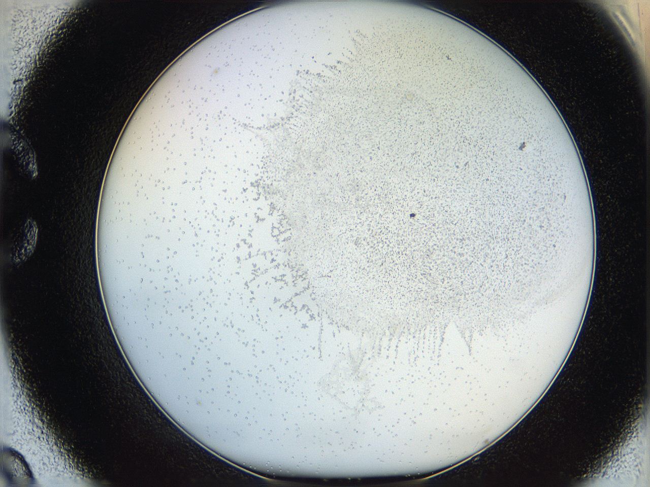 06hf_C9_ImagerDefaults_5.jpg