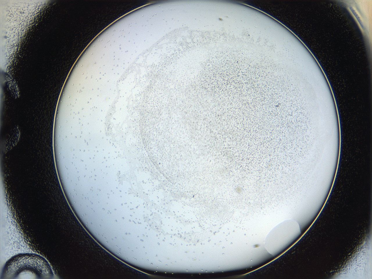 06hf_C10_ImagerDefaults_5.jpg