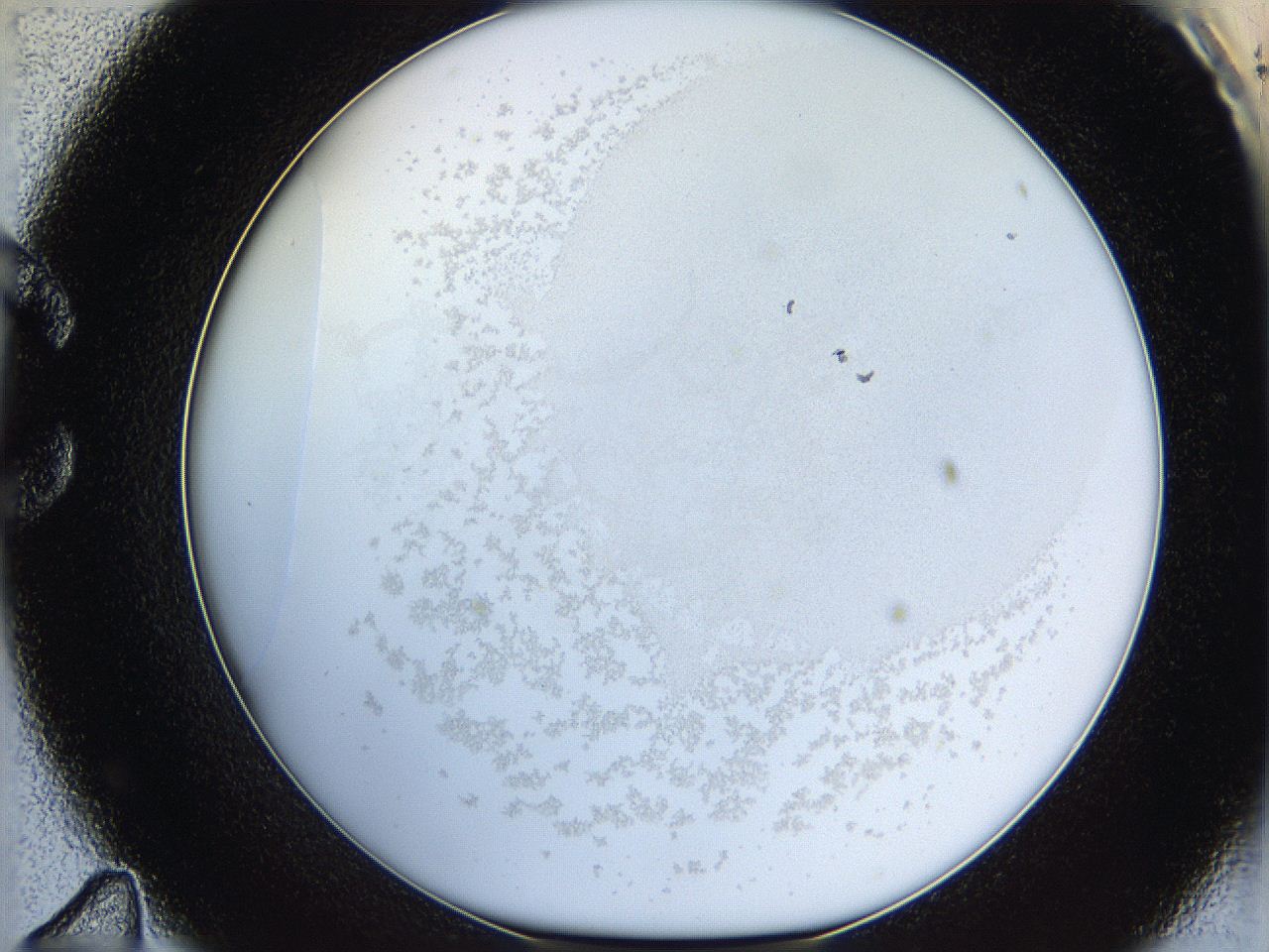 06hf_C11_ImagerDefaults_5.jpg