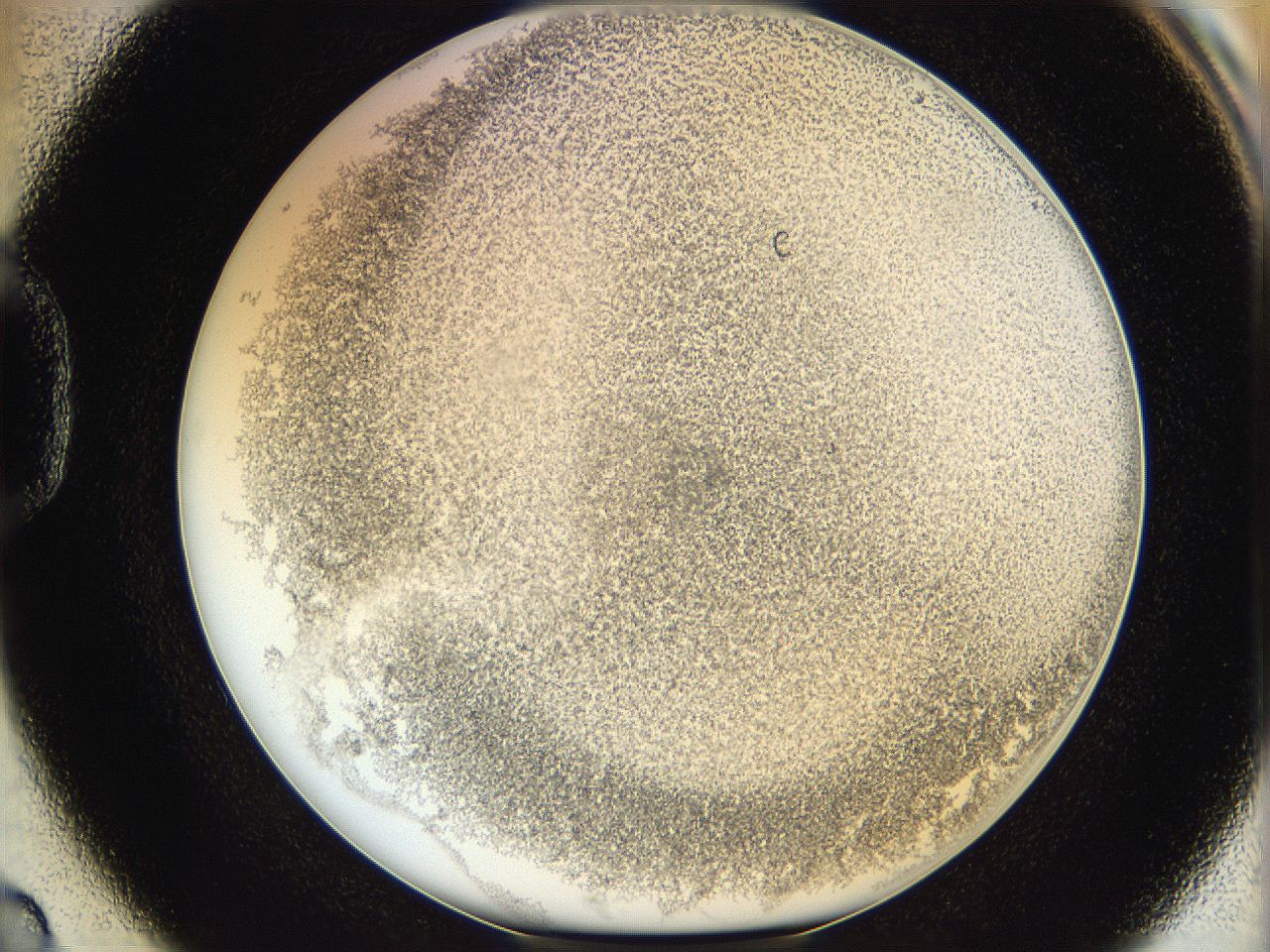 06hf_D2_ImagerDefaults_3.jpg