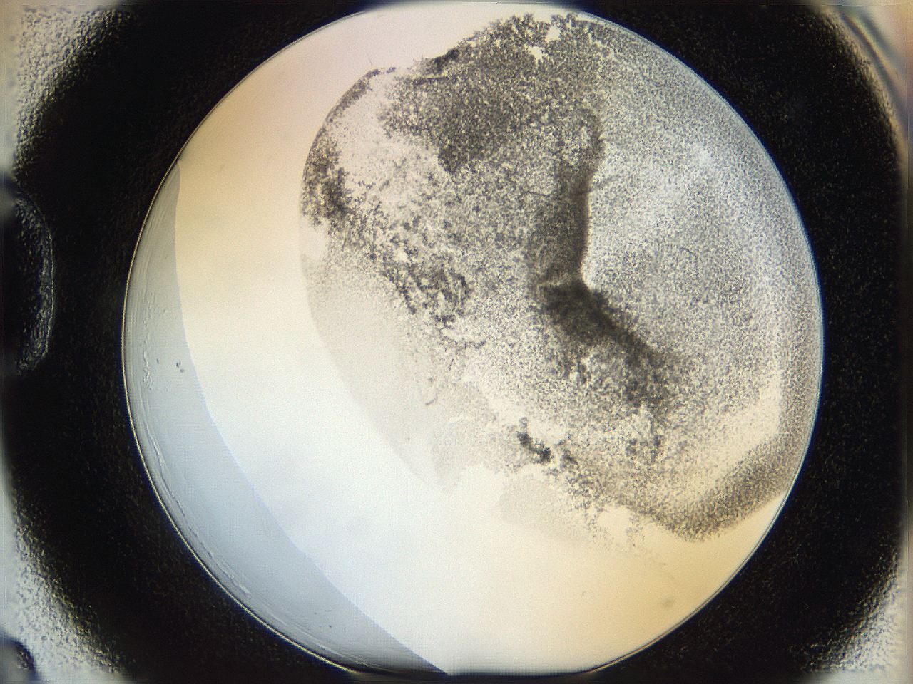 06hf_D3_ImagerDefaults_3.jpg