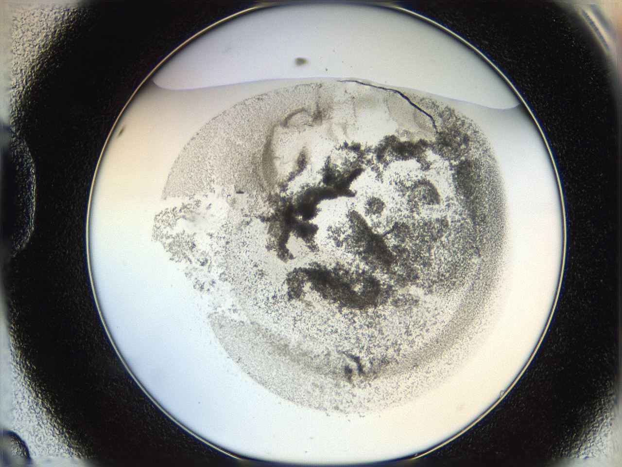 06hf_D8_ImagerDefaults_3.jpg