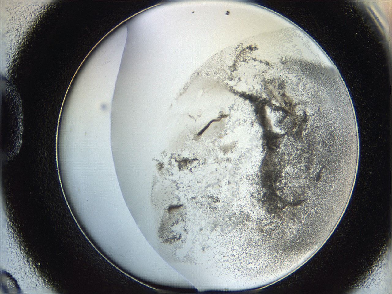 06hf_D9_ImagerDefaults_3.jpg