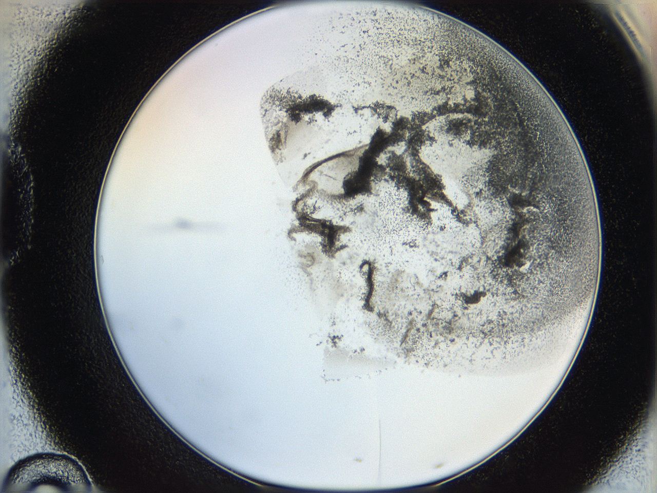 06hf_D10_ImagerDefaults_3.jpg