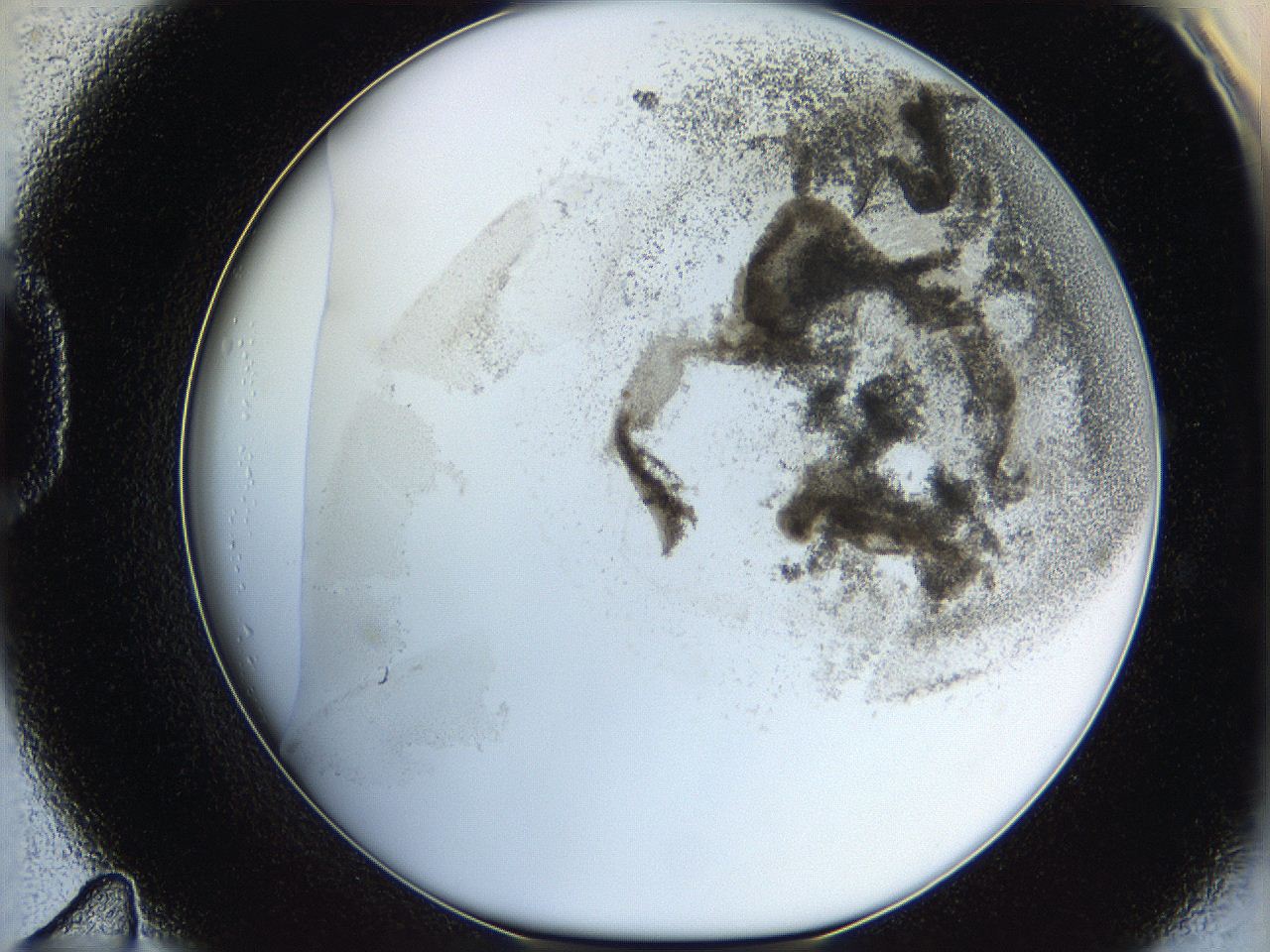 06hf_D11_ImagerDefaults_3.jpg