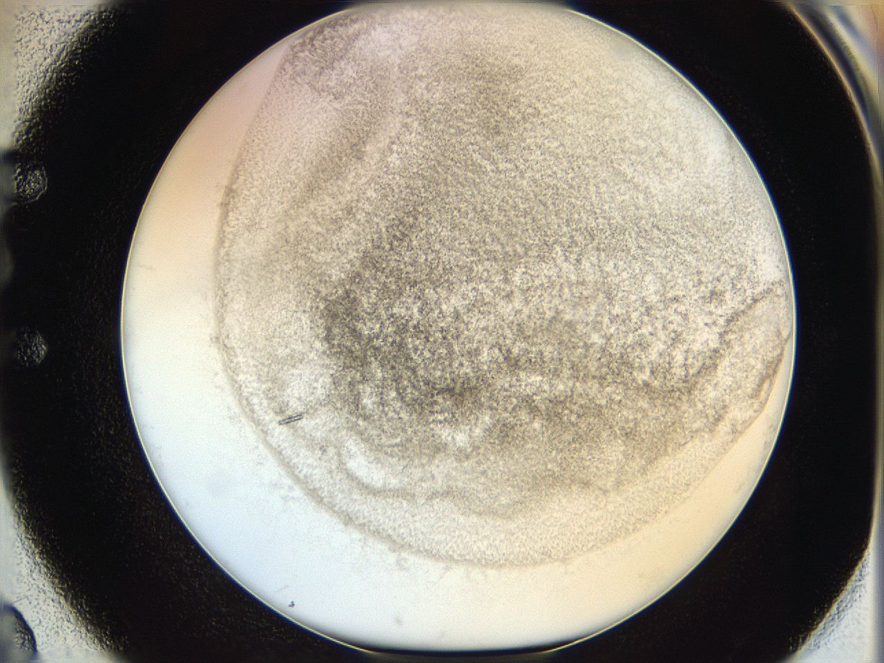 06hf_E2_ImagerDefaults_3.jpg