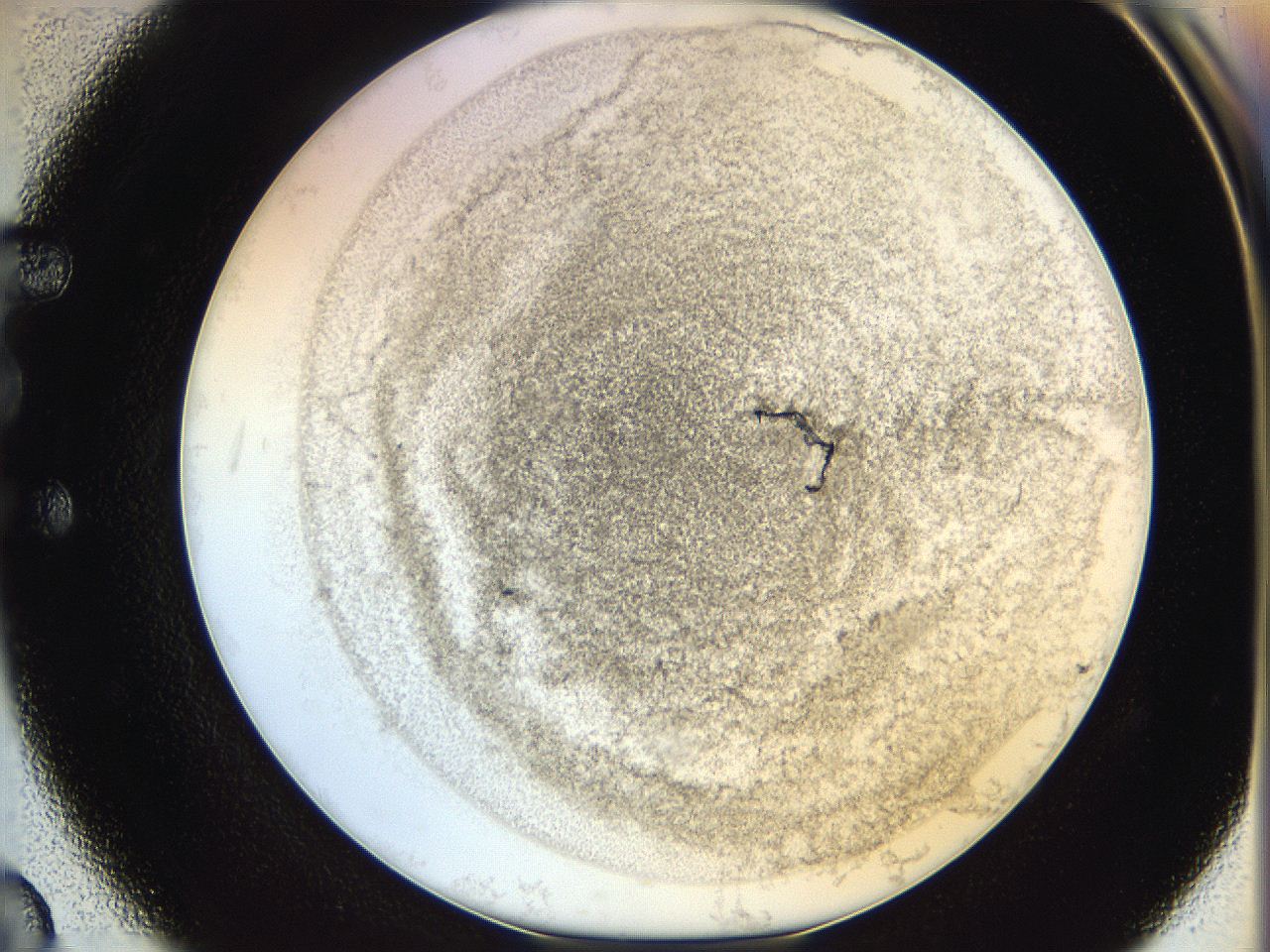 06hf_E3_ImagerDefaults_3.jpg
