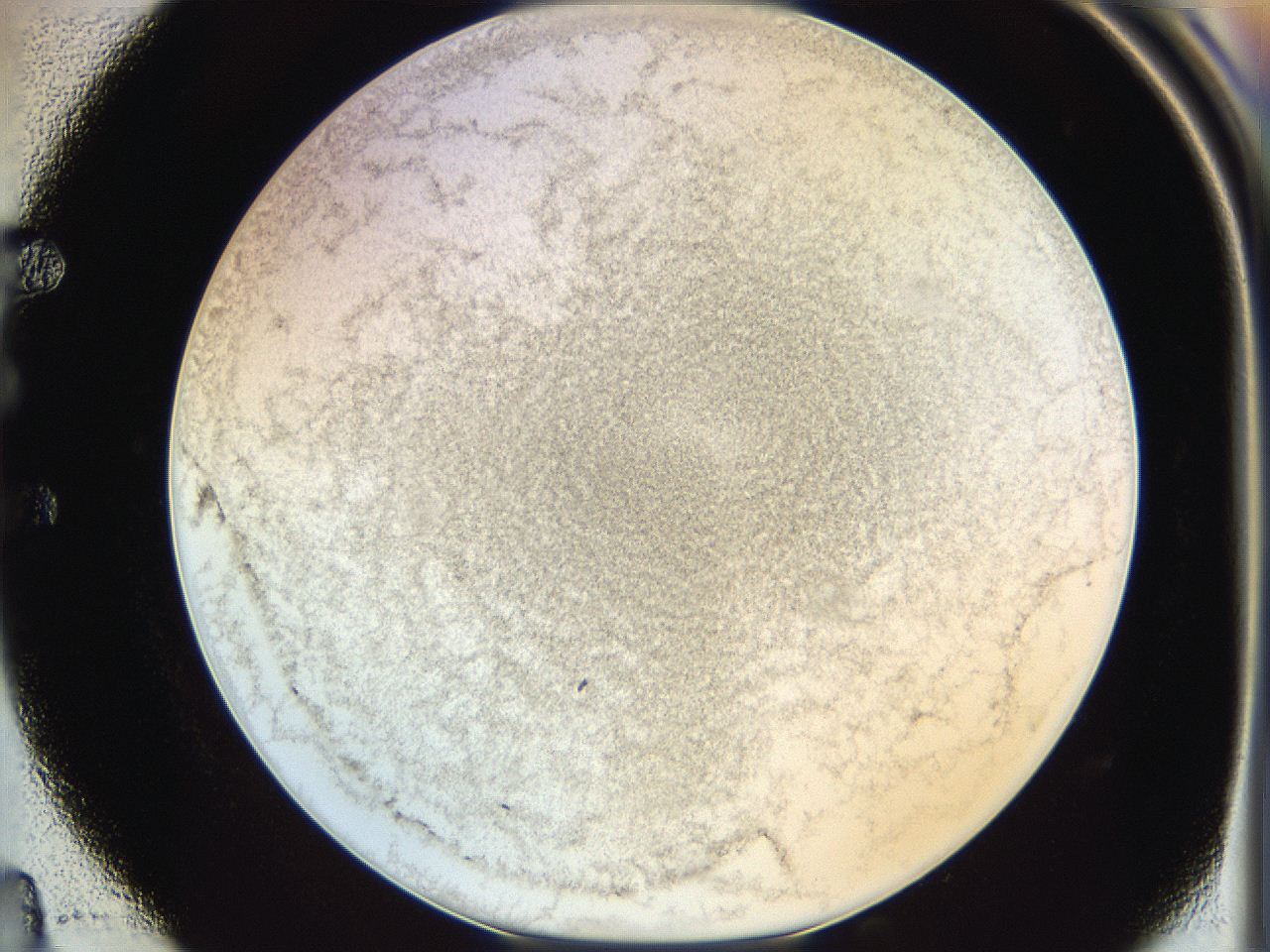06hf_E4_ImagerDefaults_3.jpg