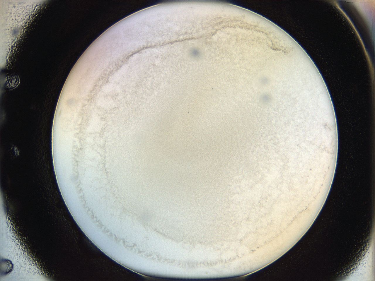 06hf_E5_ImagerDefaults_3.jpg