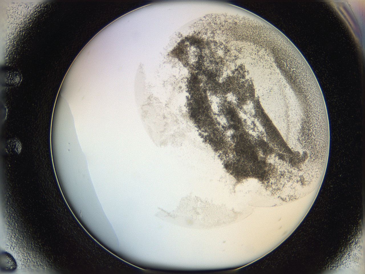 06hf_E6_ImagerDefaults_3.jpg