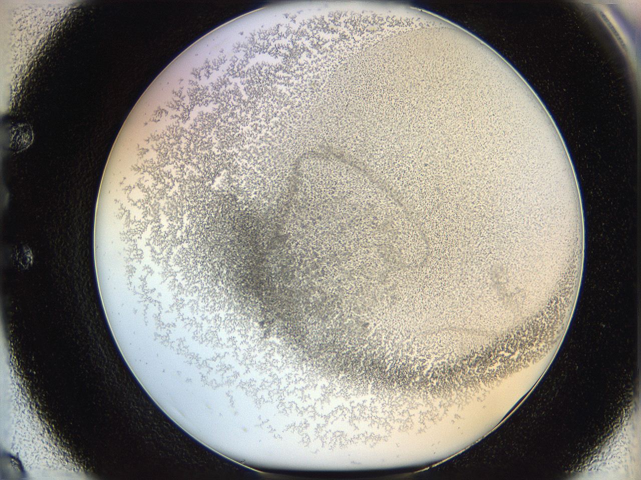 06hf_E8_ImagerDefaults_5.jpg