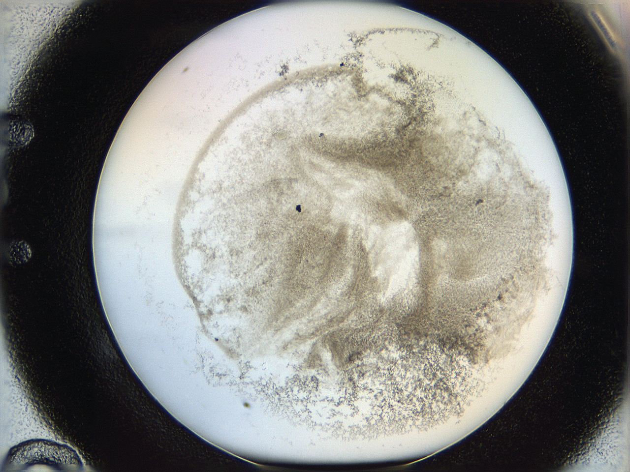 06hf_E10_ImagerDefaults_3.jpg