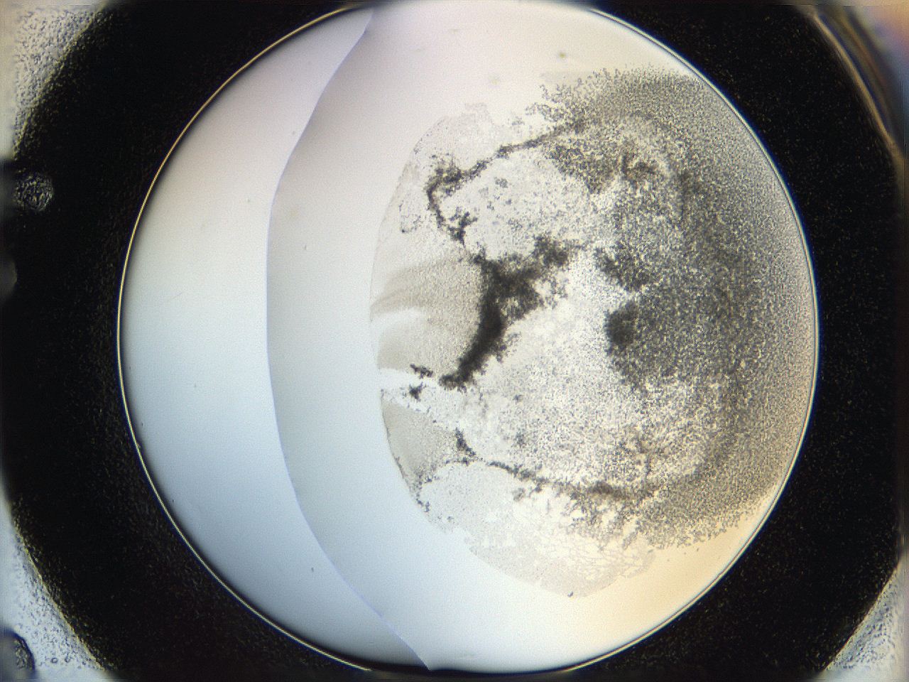 06hf_F2_ImagerDefaults_3.jpg