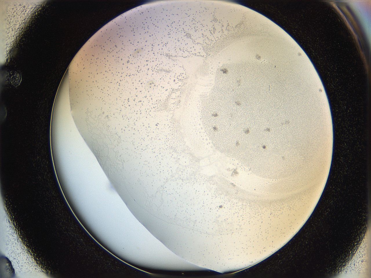 06hf_F3_ImagerDefaults_5.jpg