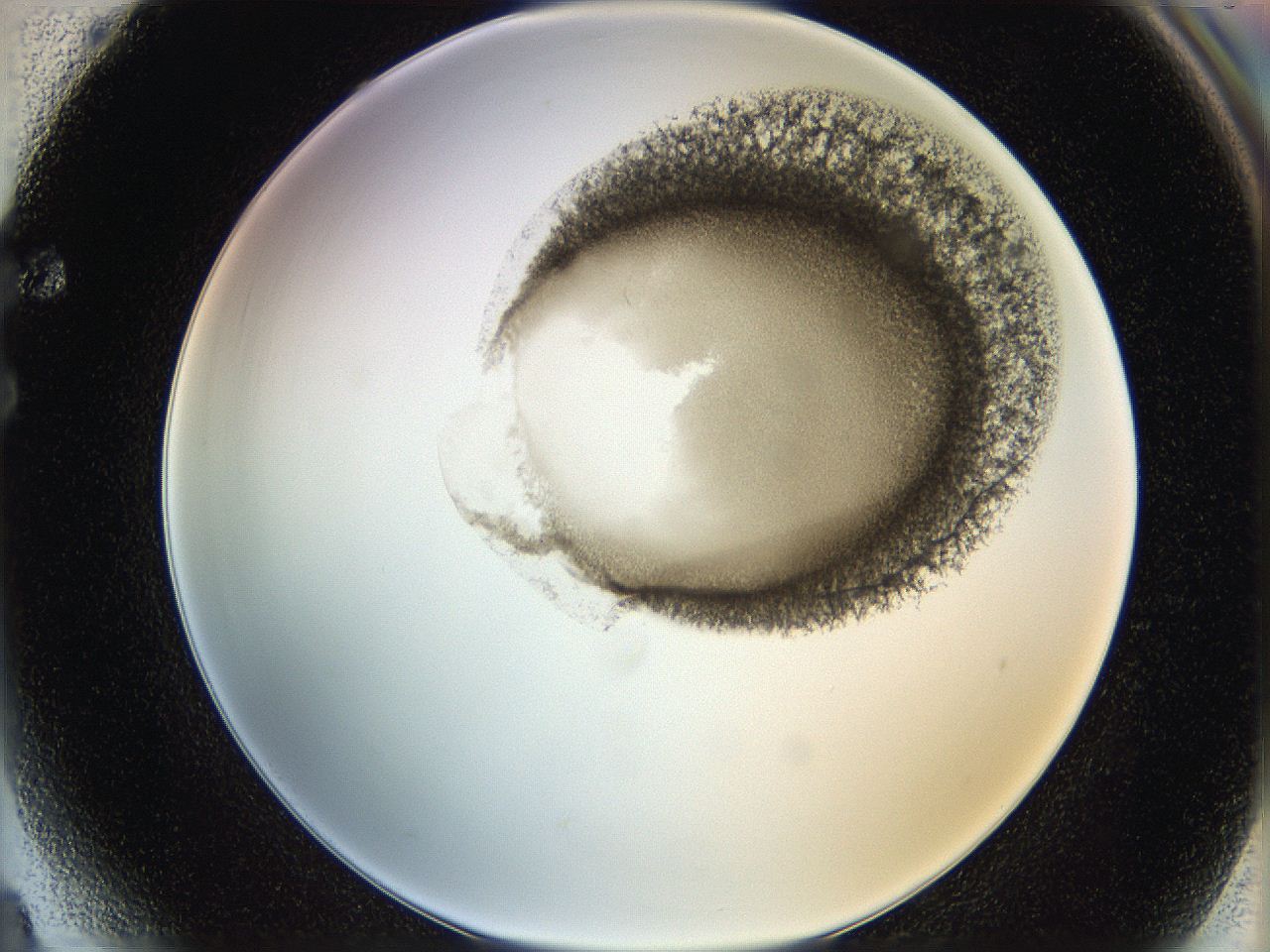 06hf_F4_ImagerDefaults_3.jpg