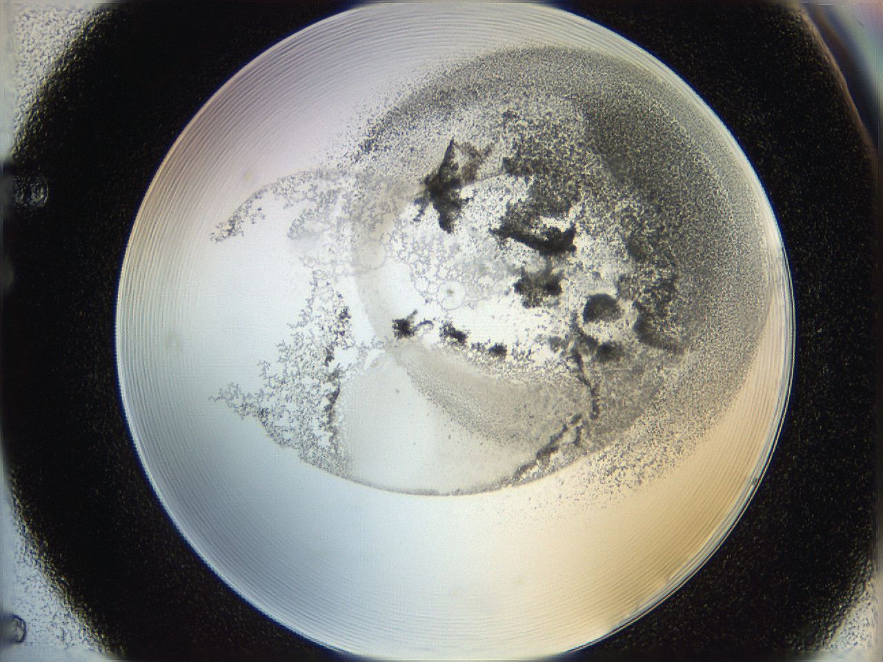 06hf_F5_ImagerDefaults_3.jpg