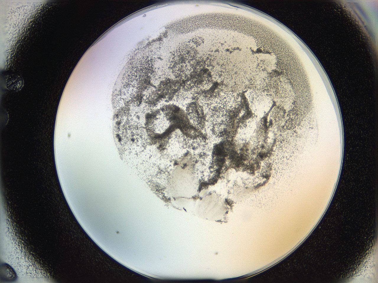 06hf_F6_ImagerDefaults_3.jpg
