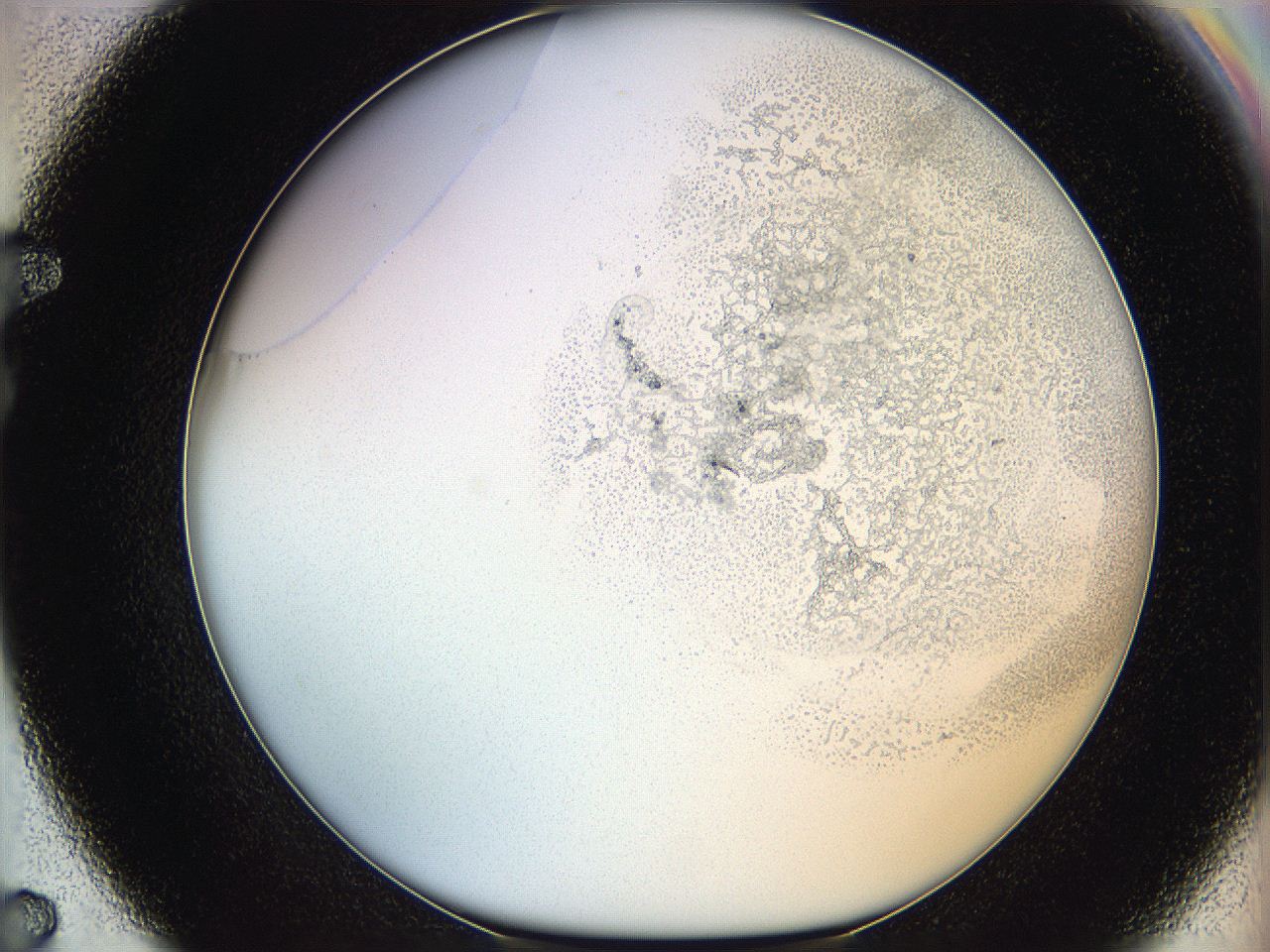 06hf_F7_ImagerDefaults_3.jpg