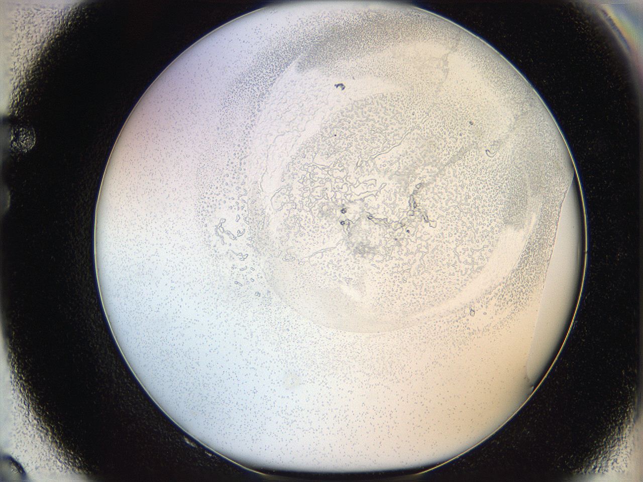 06hf_F8_ImagerDefaults_5.jpg