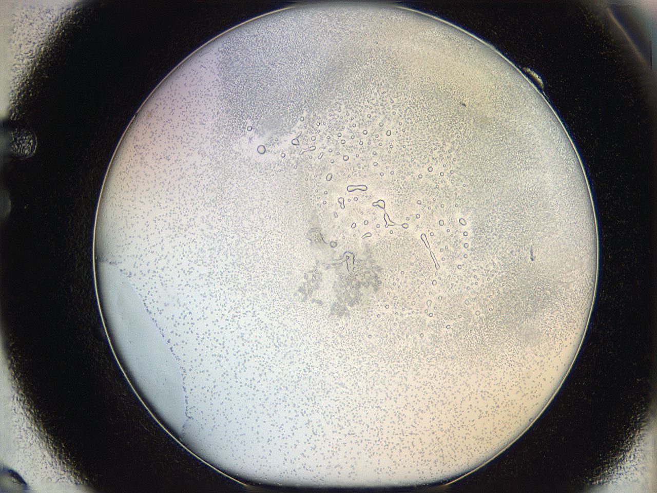 06hf_F9_ImagerDefaults_5.jpg