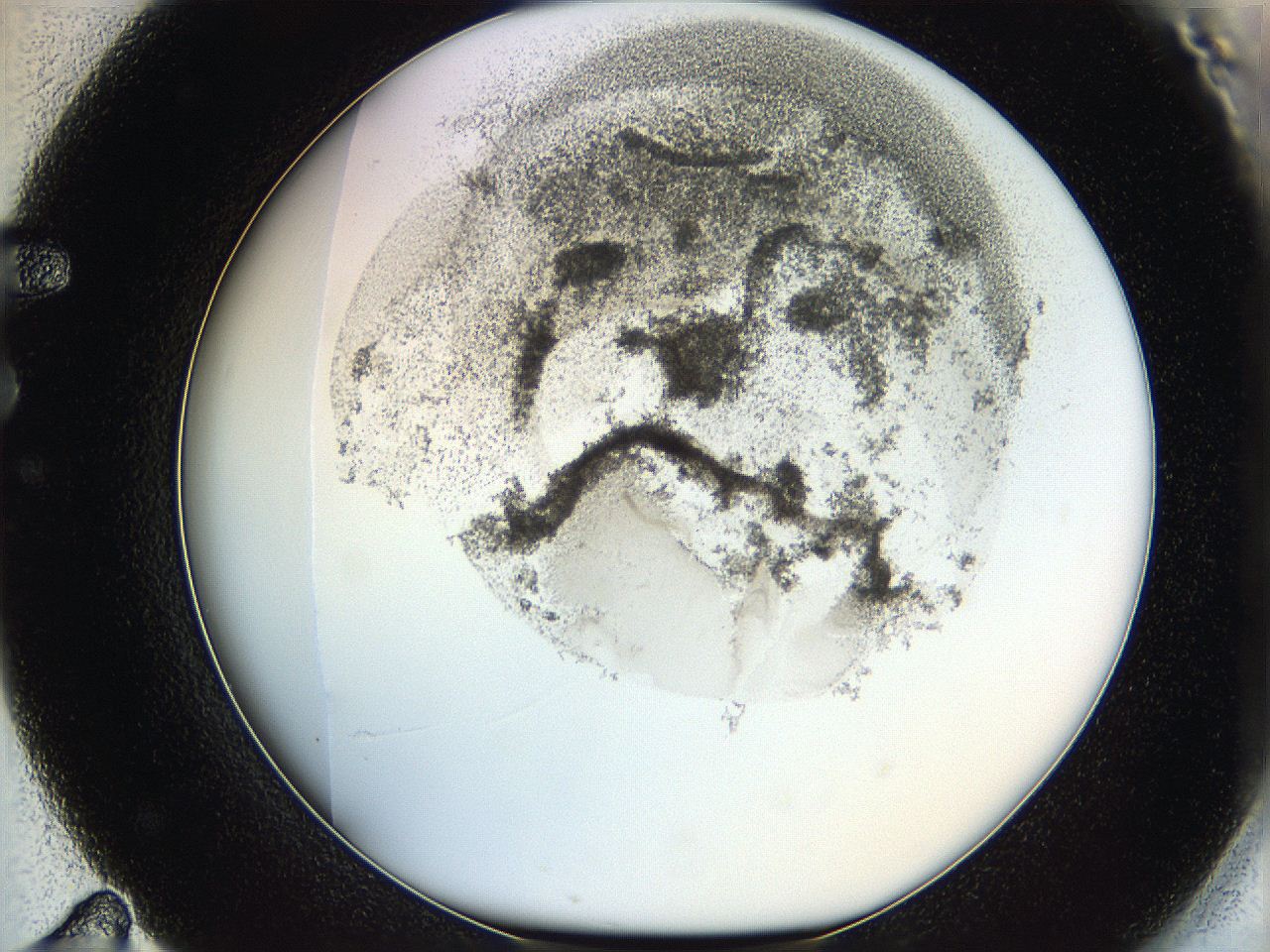 06hf_F11_ImagerDefaults_3.jpg