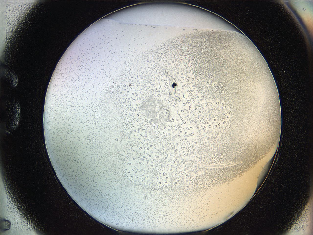 06hf_G5_ImagerDefaults_5.jpg