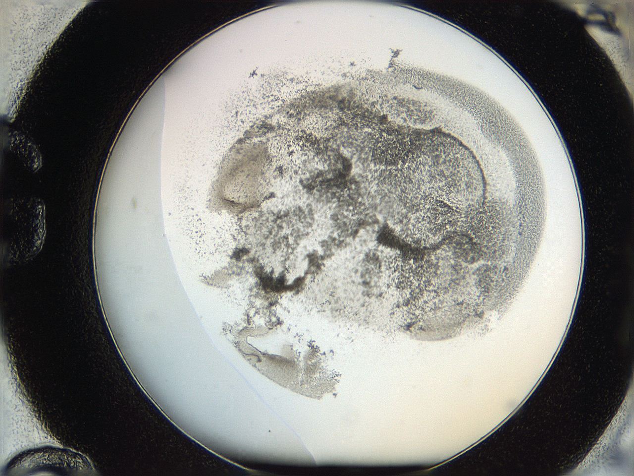 06hf_G12_ImagerDefaults_3.jpg