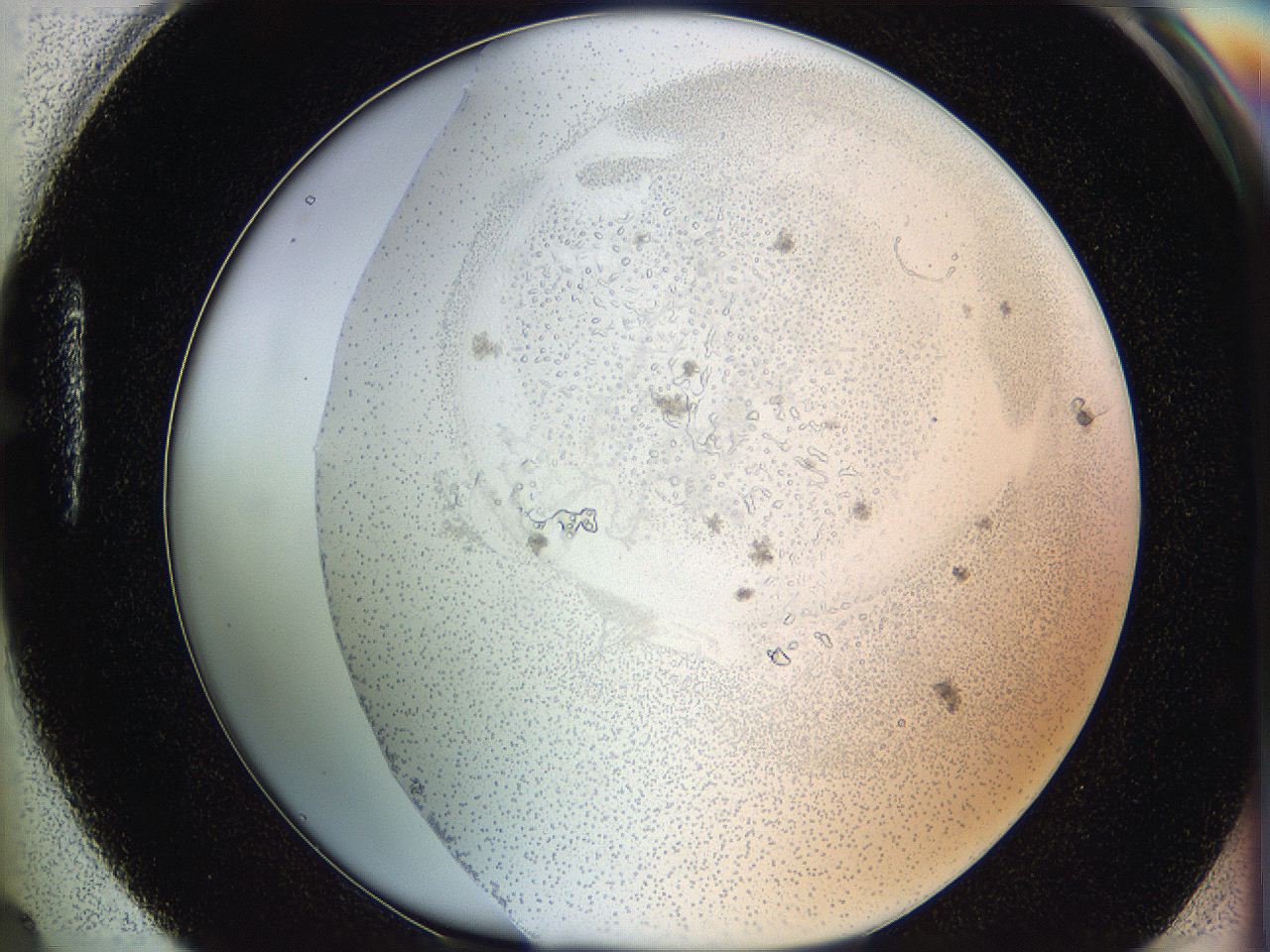 06hf_H4_ImagerDefaults_5.jpg