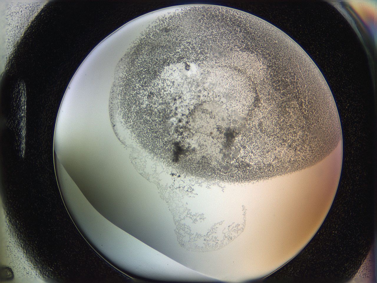 06hf_H5_ImagerDefaults_3.jpg