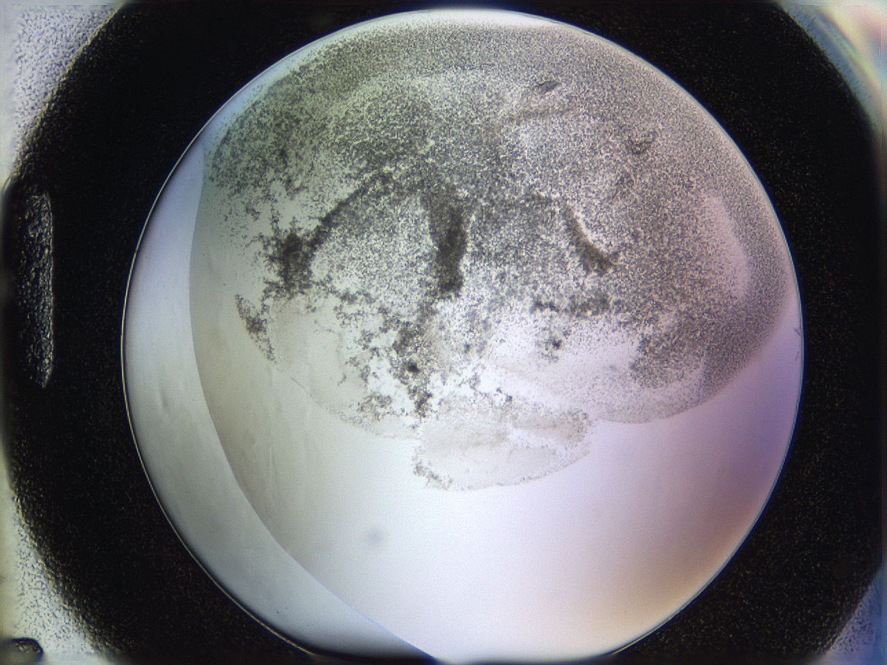 06hf_H7_ImagerDefaults_3.jpg
