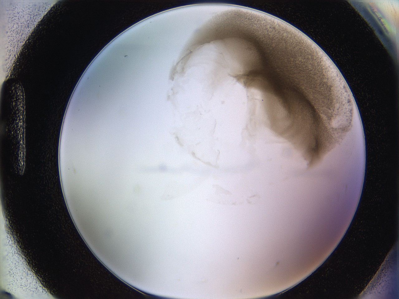 06hf_H9_ImagerDefaults_3.jpg