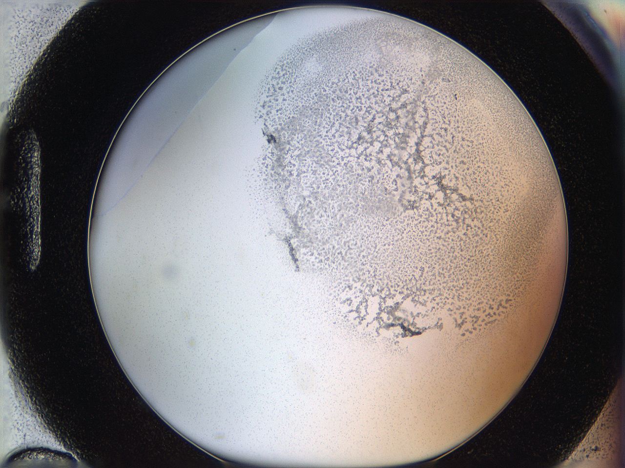 06hf_H10_ImagerDefaults_5.jpg