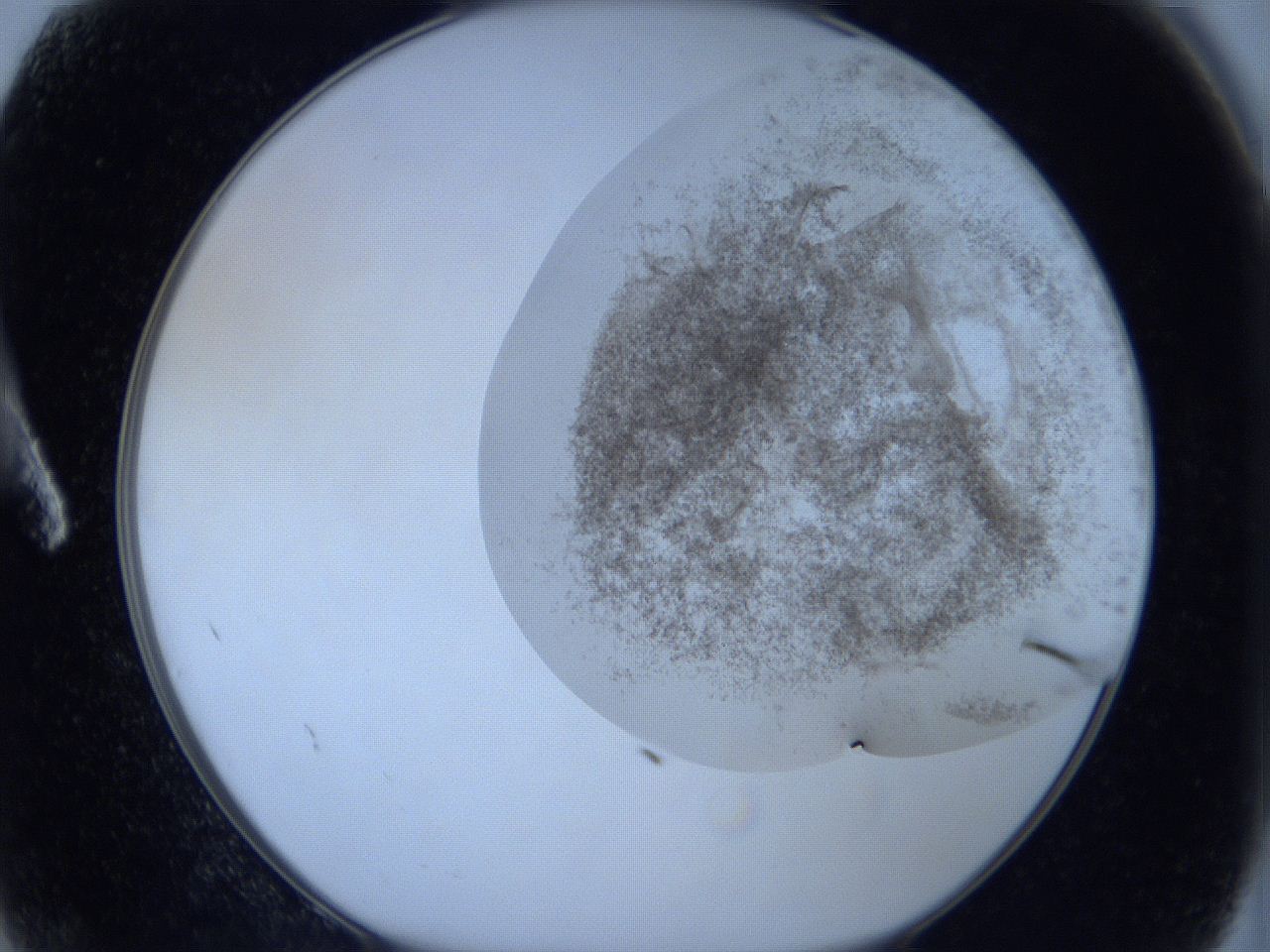 06hg_A2_ImagerDefaults_3.jpg