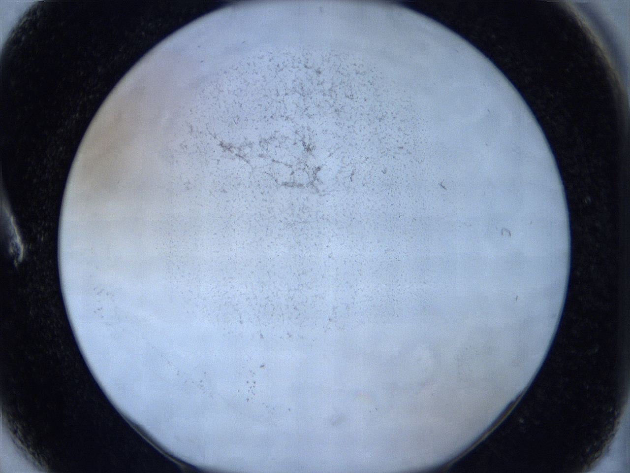 06hg_A6_ImagerDefaults_2.jpg