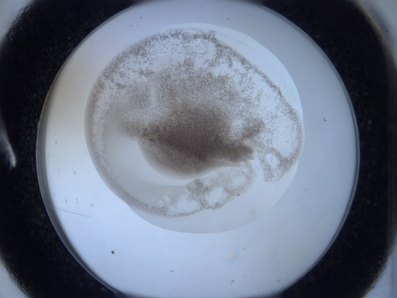 06hg_A8_ImagerDefaults_3.jpg