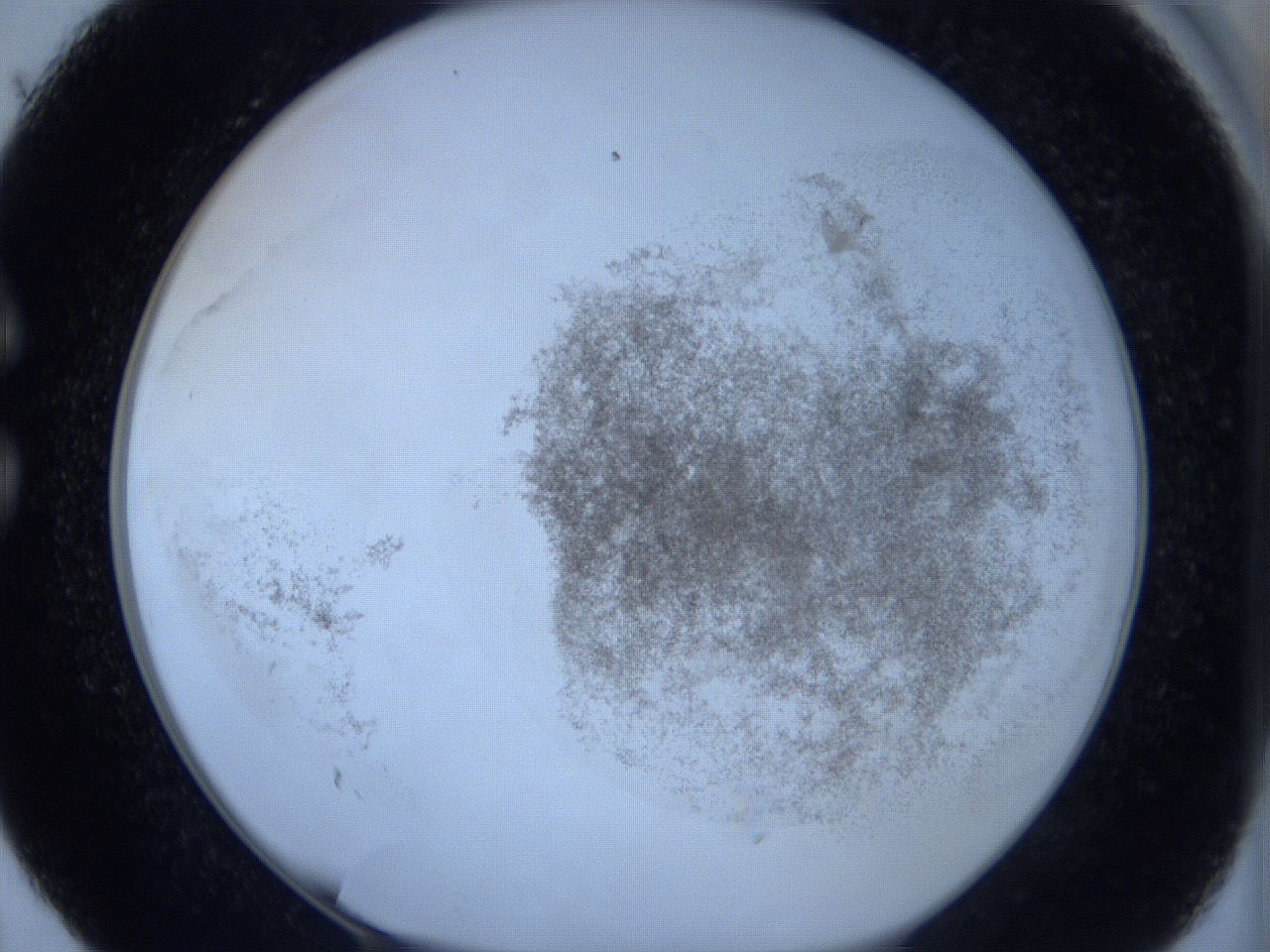 06hg_C5_ImagerDefaults_3.jpg