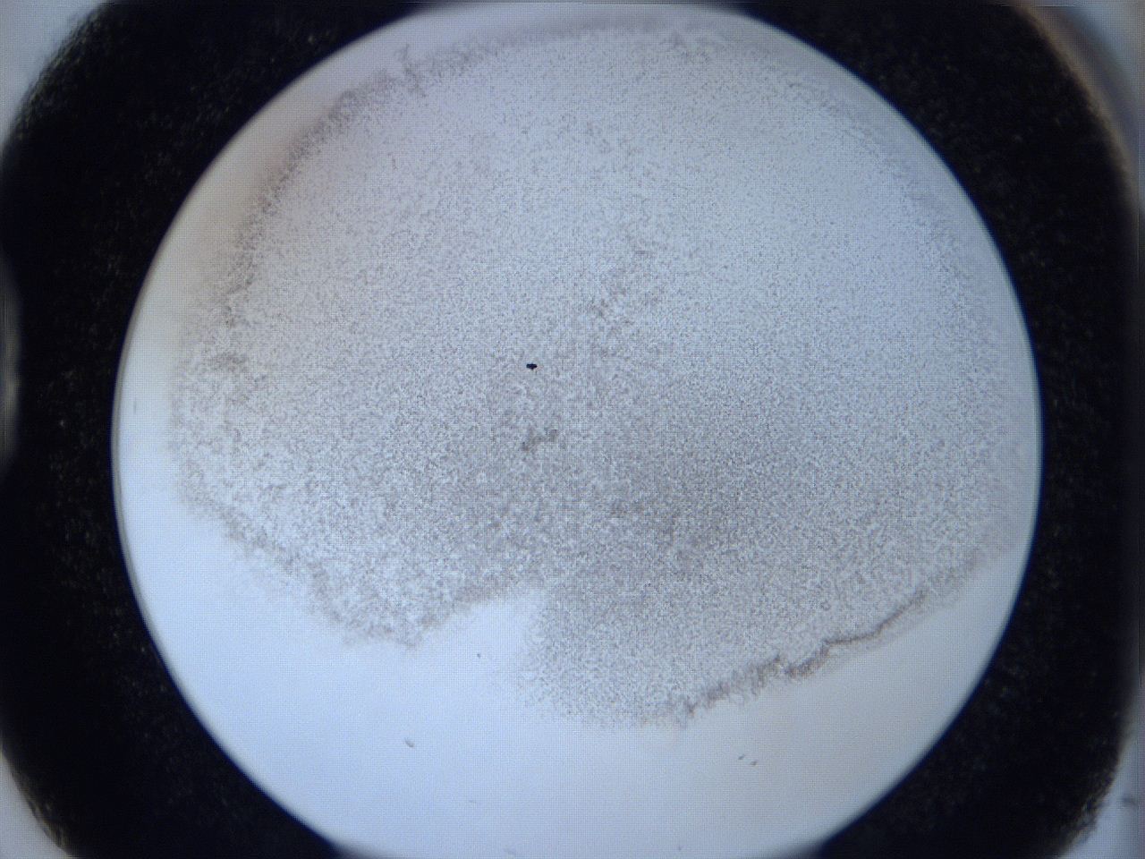 06hg_D2_ImagerDefaults_2.jpg