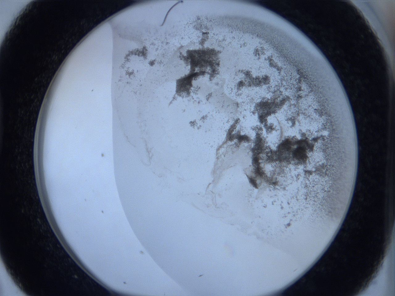 06hg_D7_ImagerDefaults_3.jpg